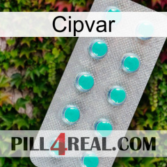 Cipvar 28